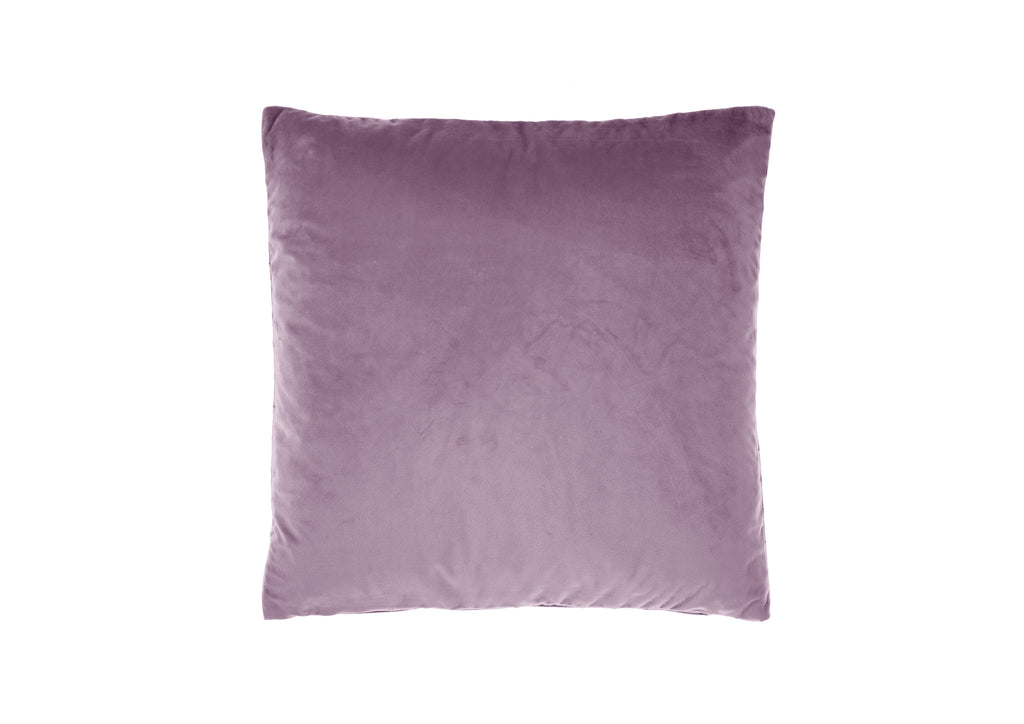 Scatter Cushions-Belmore Velvet-60x60cm